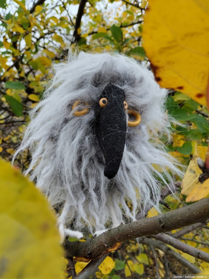 Когда Клара гуляла — Домашние фото авторских игрушек: Тедди (фото 2)