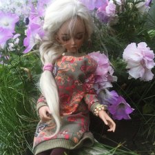 Осенние цветы