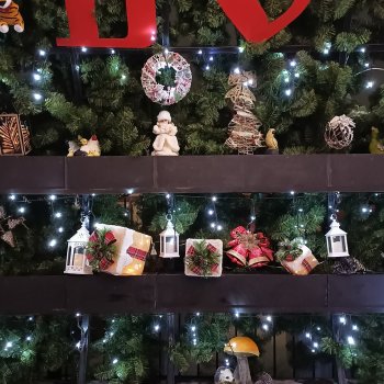 Рождественская красота