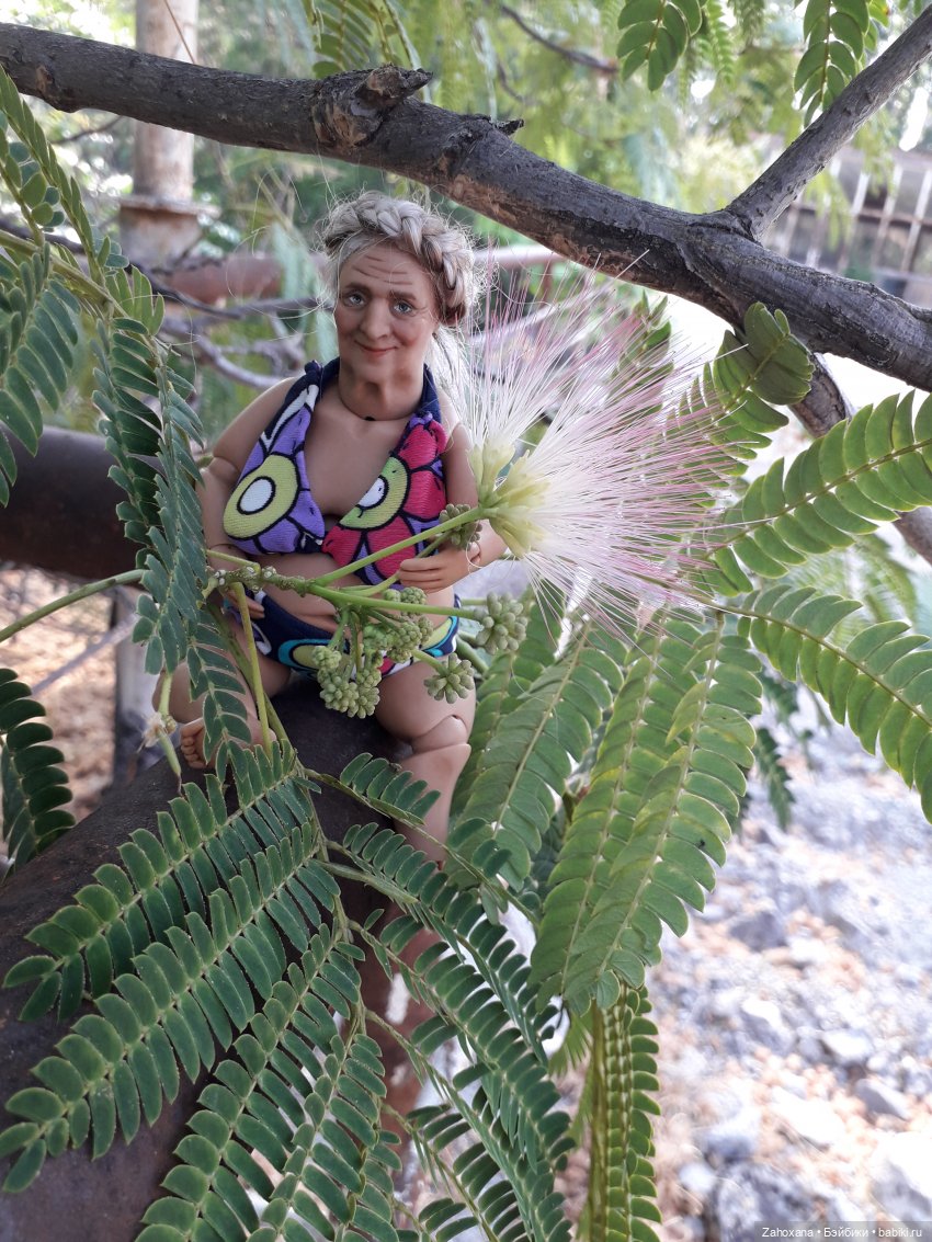 Баба Глаша и растения Крыма