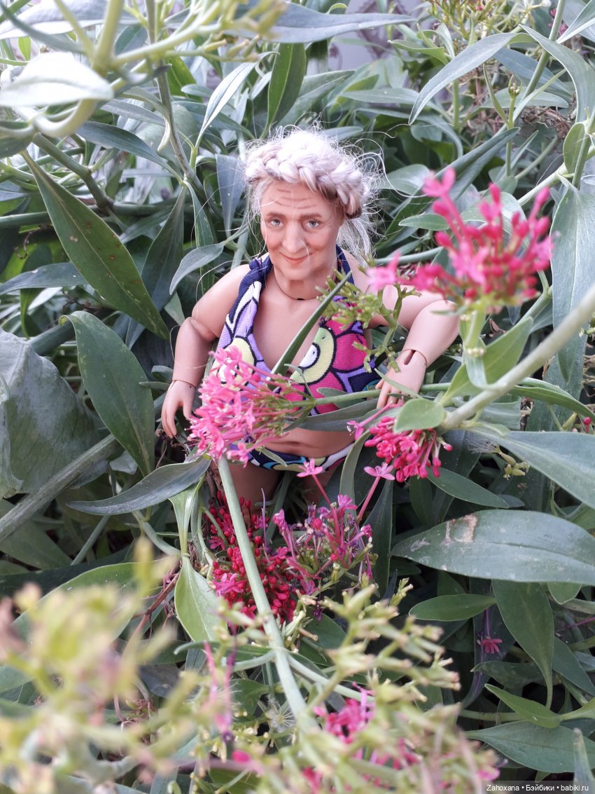 Баба Глаша и растения Крыма (фото 10)
