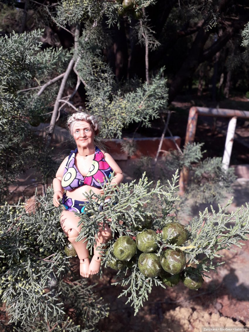 Баба Глаша и растения Крыма (фото 9)