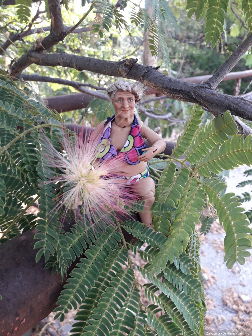 Баба Глаша и растения Крыма