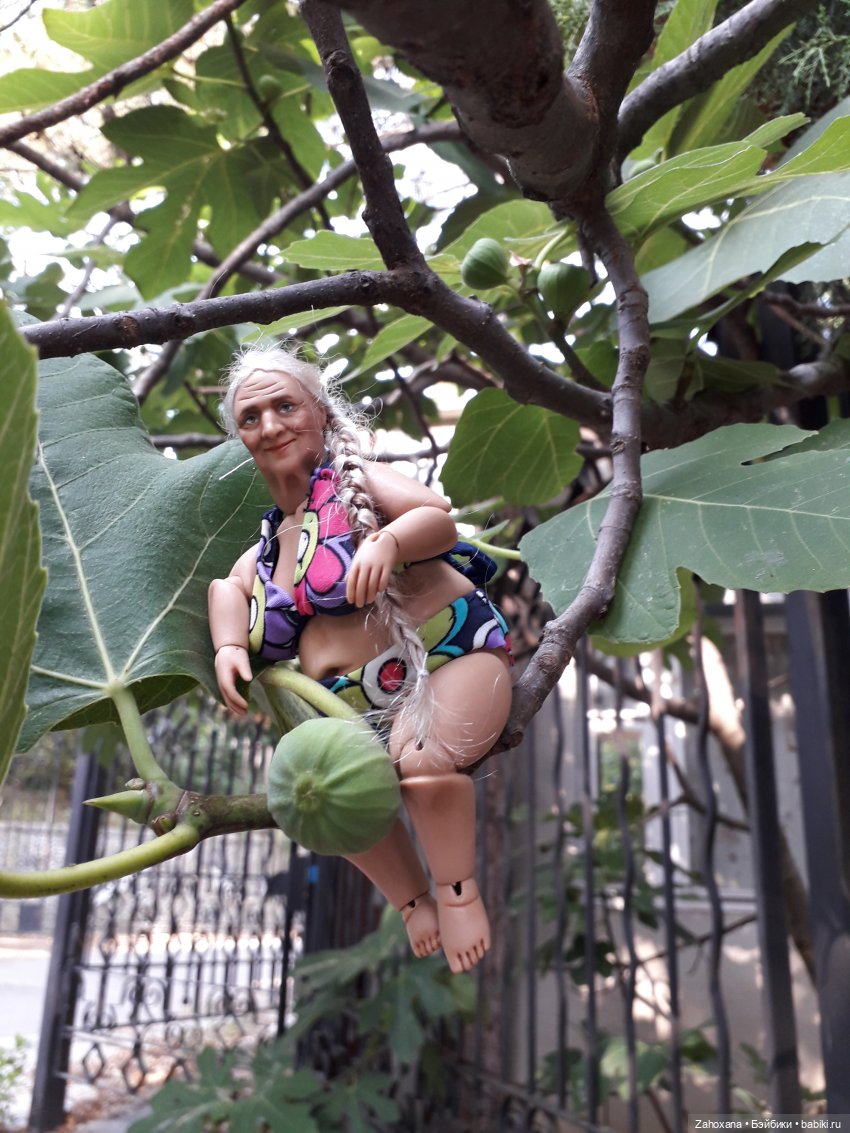 Баба Глаша и растения Крыма (фото 6)