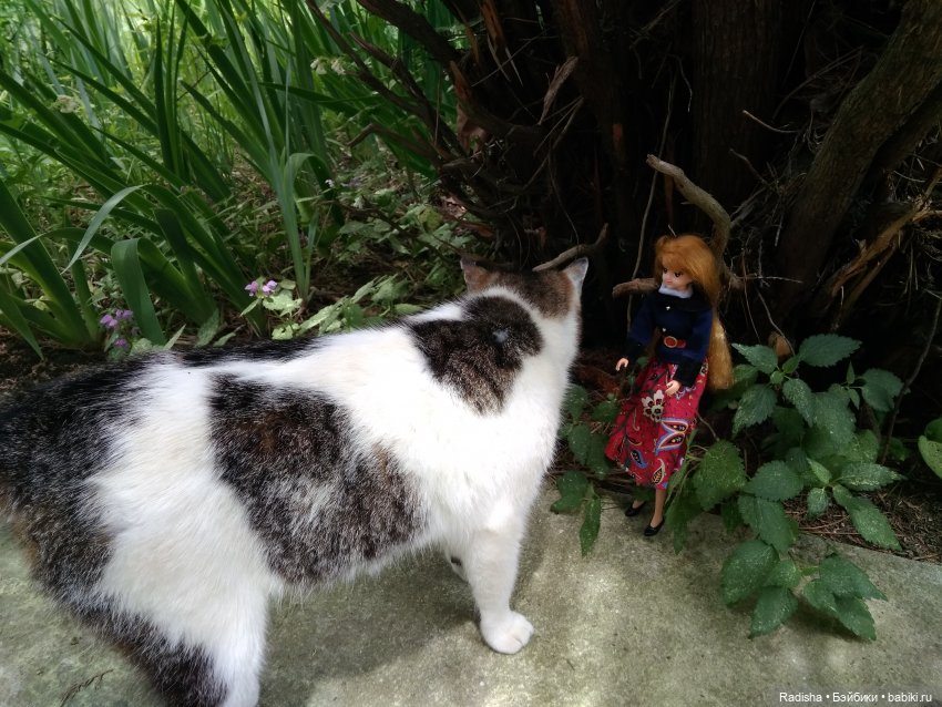 Мими в Волшебном лесу (часть1)