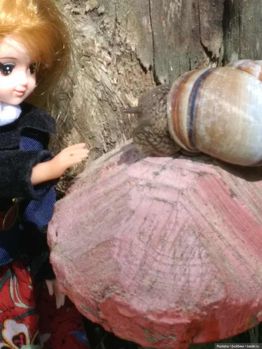 Мими в Волшебном лесу (часть1) (фото 6)