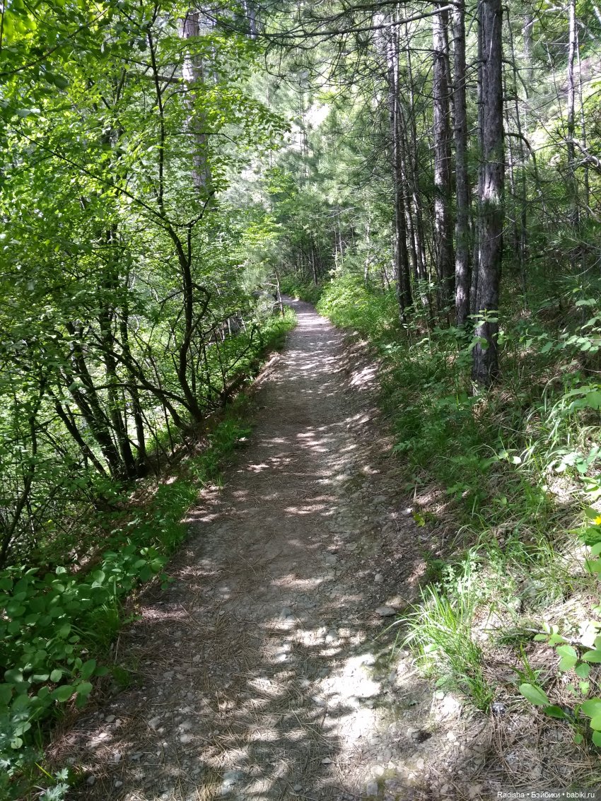 Мими в Волшебном лесу (часть 2) | Бэйбики Мими в Волшебном лесу (часть 2)