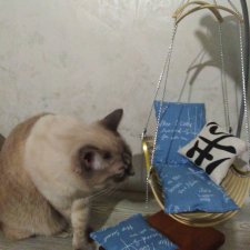 Кошки тоже любят игрушки