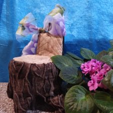 Молодой, весёлый пенёк ищет свою красную шапочку, или мишку, или зайца, или просто путника