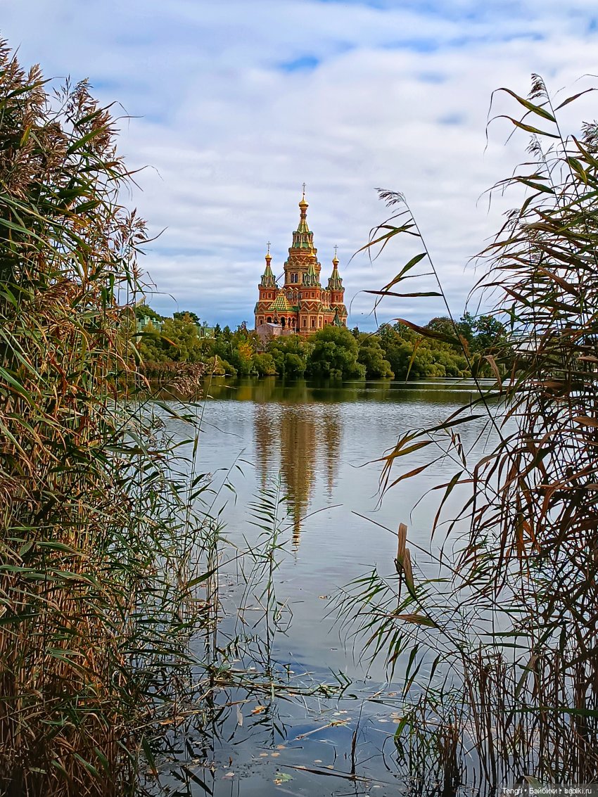 Борте в Петергофе (x5portal )