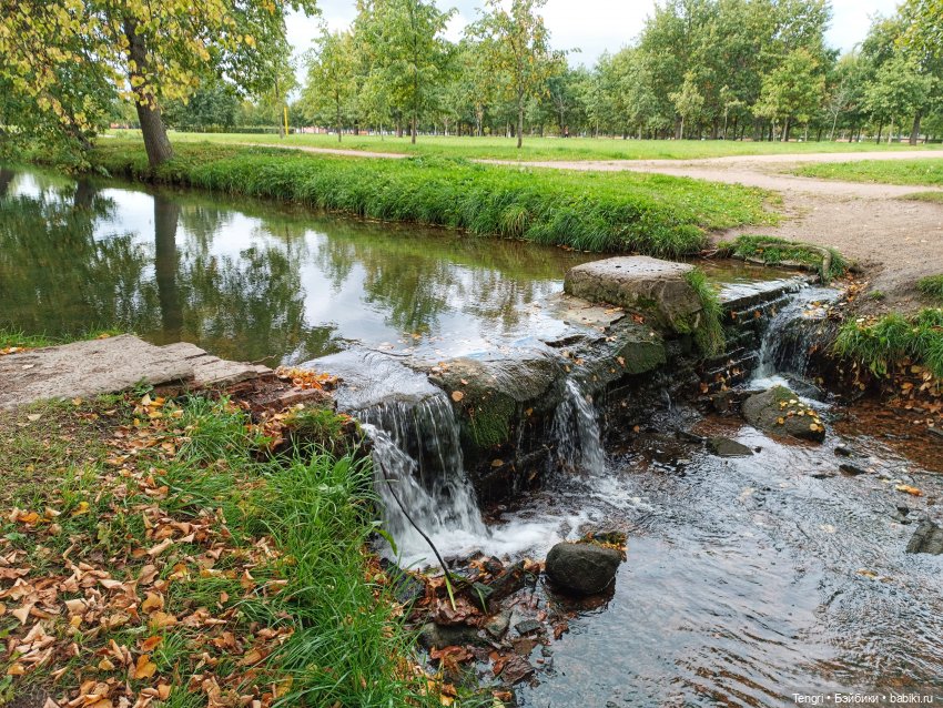 Борте в Петергофе (x5portal ) | Бэйбики Борте в Петергофе (x5portal )