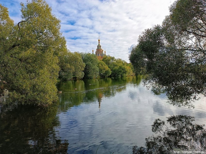 Борте в Петергофе (x5portal ) | Бэйбики Борте в Петергофе (x5portal )