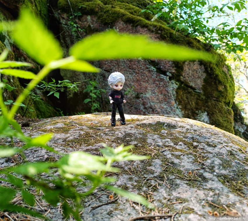 Сайлас. Первая прогулка — Разные шарнирные куклы (не БЖД): редкие