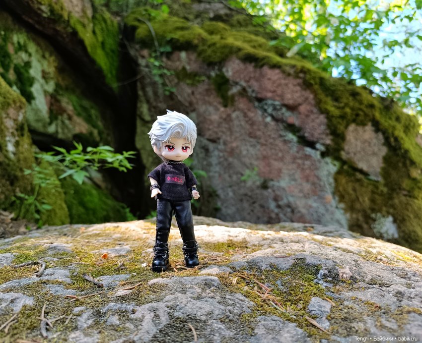 Сайлас. Первая прогулка — Разные шарнирные куклы (не БЖД): редкие