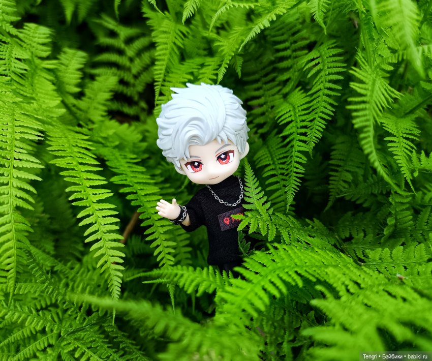 Сайлас. Первая прогулка — Разные шарнирные куклы (не БЖД): редкие