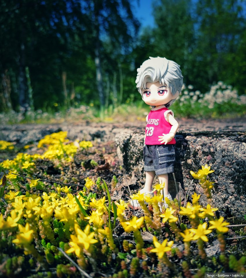 Цветочный мальчик Сайлас — Разные шарнирные куклы (не БЖД): редкие (фото 7)