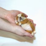 Шш-ш, малыш спит