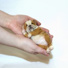 Шш-ш, малыш спит