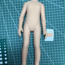 Тело от Паола Рейна новое с небольшими дефектами