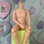 Шарнирное тело для Паола рейна