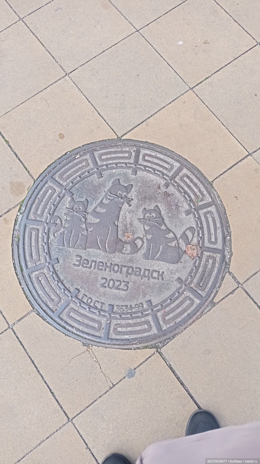 Калининград. Продолжение — Туризм и путешествия: фотоотчеты из поездок (фото 9)