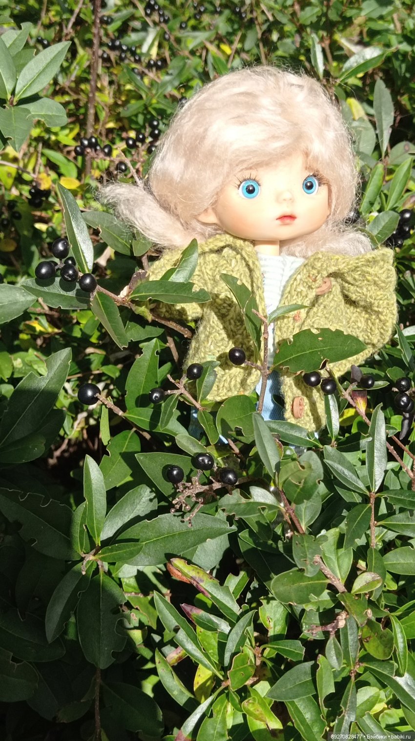 Калининград. Продолжение — Туризм и путешествия: фотоотчеты из поездок (фото 4)