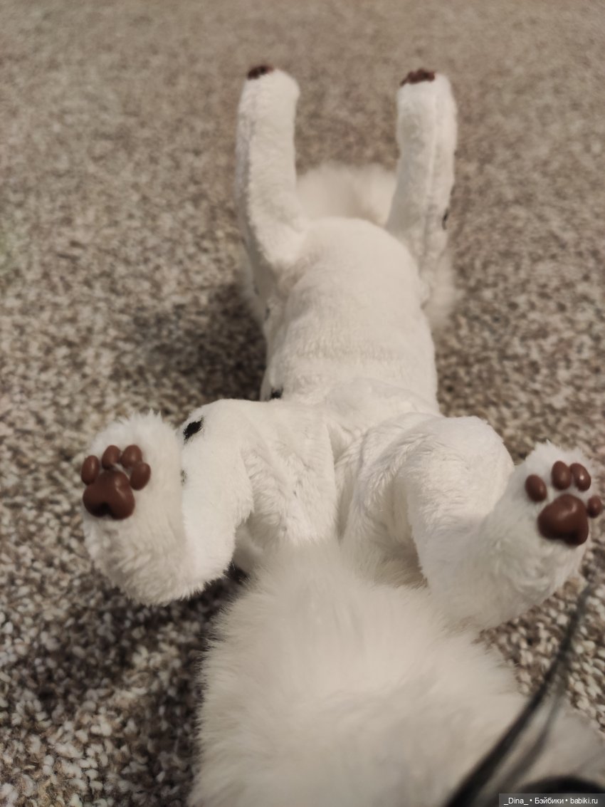 dinamat_dolls dinamat_dolls