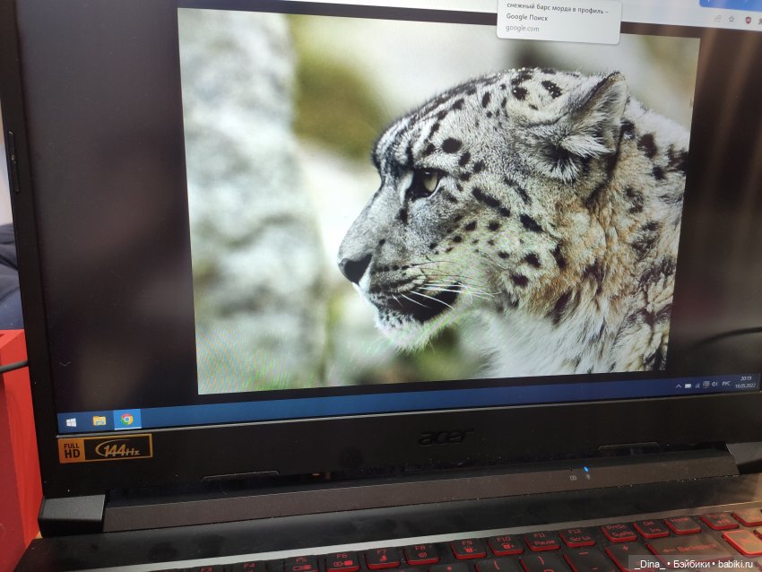 dinamat_dolls dinamat_dolls