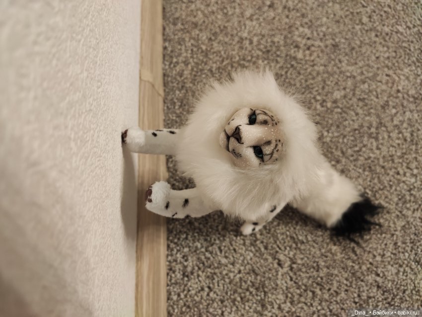 dinamat_dolls dinamat_dolls