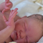 Грейси Мей оригинал