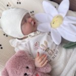 Твин Б от Бонни Браун оригинал