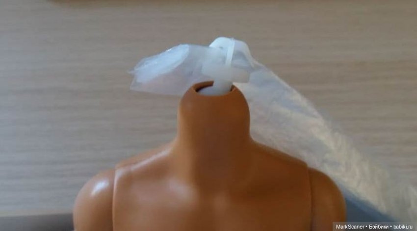 Гибридизация с сохранением якоря в первозданном виде (фото 3)