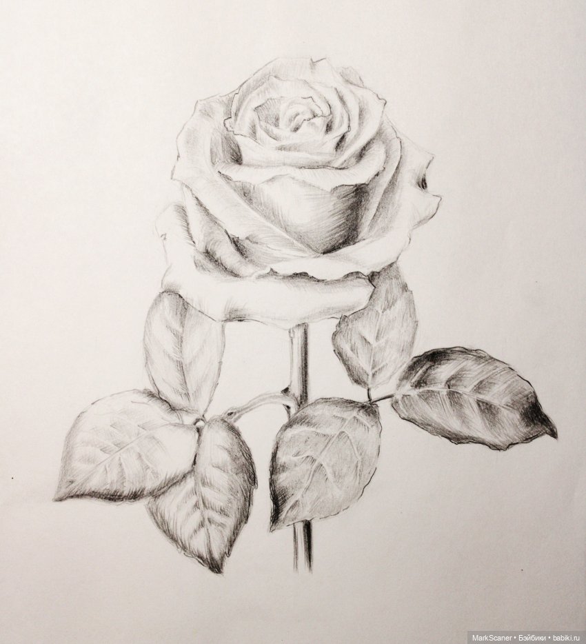 Немного графики — Рисование и арт: скетчи (фото 6)