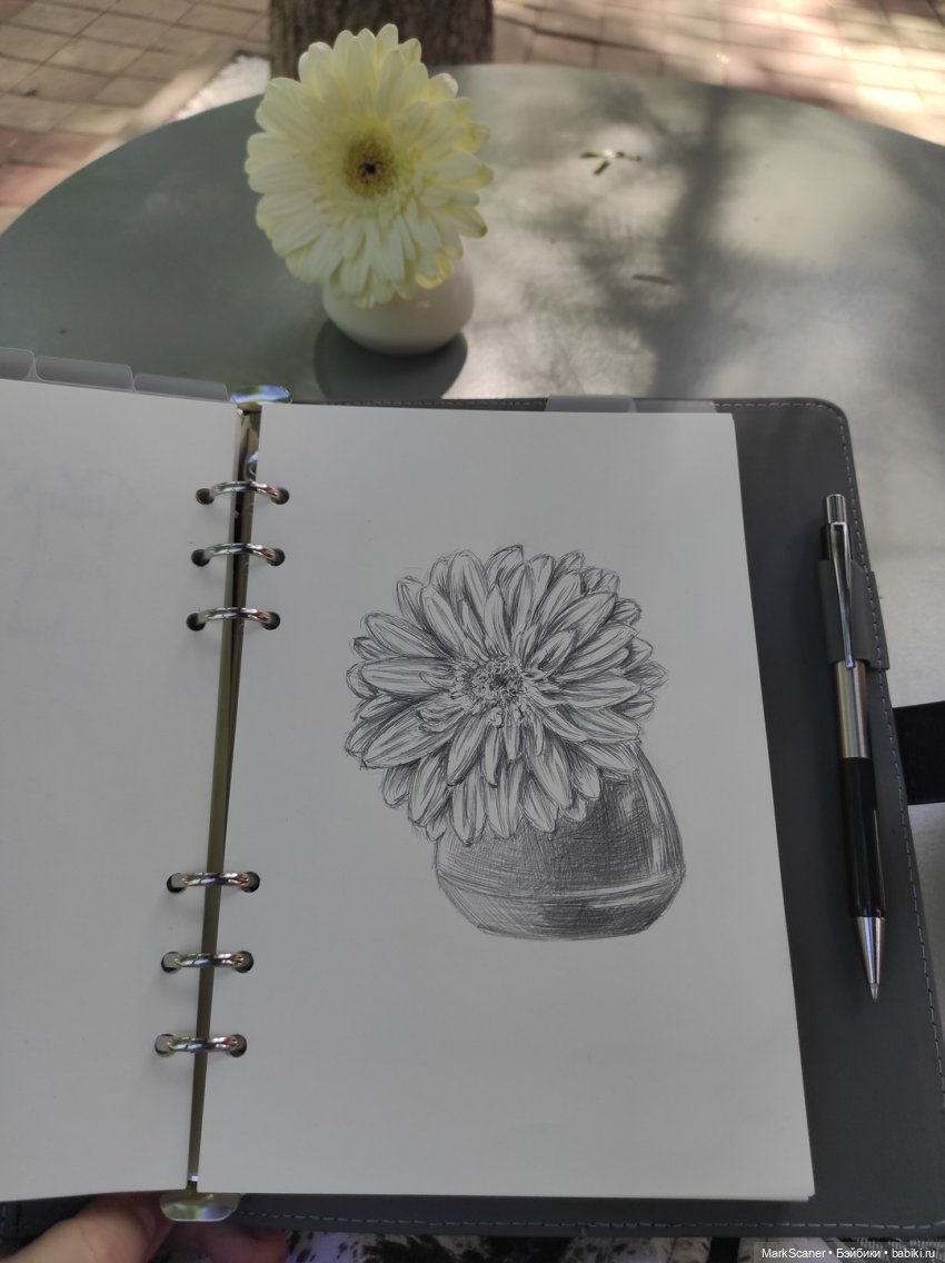 Результаты недавних прогулок