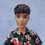 Кен Fashionista Hbv24 на теле Фиеро