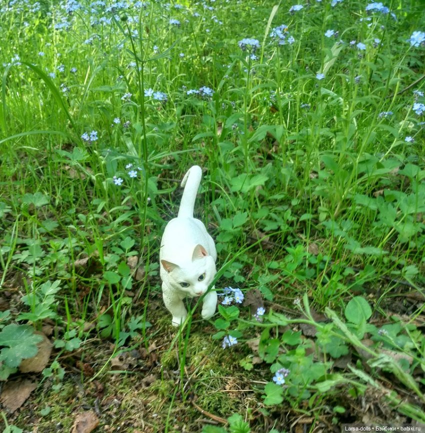 жевать траву