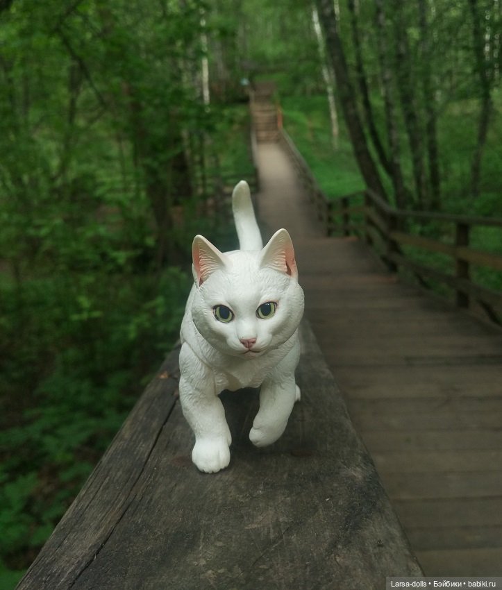 по лестнице