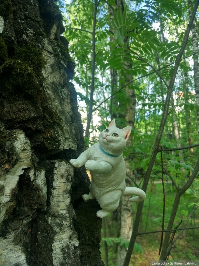 кот и дерево