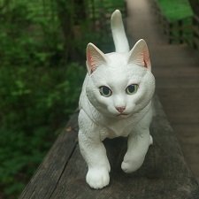 Домашний котик на свободном выгуле