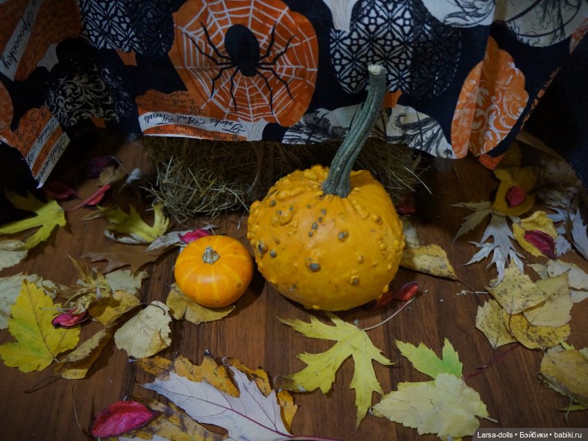 = Приручение змеи или Две Змеи = (фото 10)