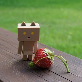 Ня-тян в осеннем лесу (мини-фото история)