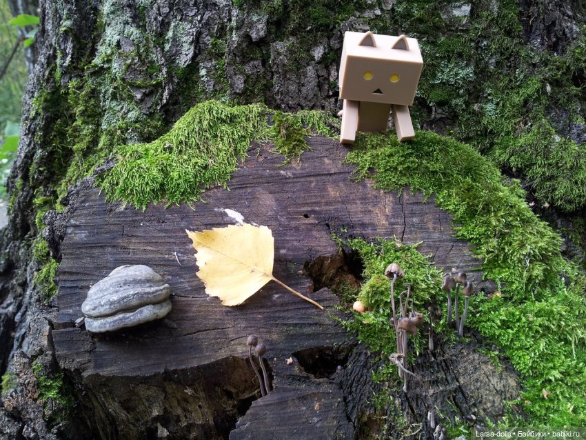 Ня-тян в осеннем лесу (мини-фото история) (фото 2)