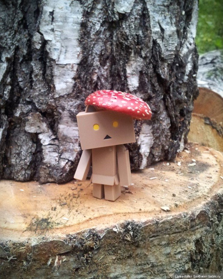 Ня-тян в осеннем лесу (мини-фото история) (фото 6)