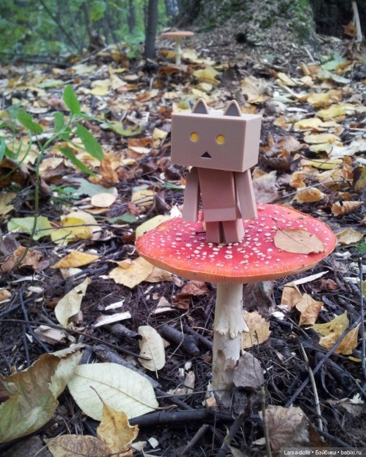 Ня-тян в осеннем лесу (мини-фото история) (фото 4)