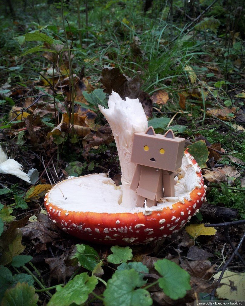 Ня-тян в осеннем лесу (мини-фото история) (фото 5)