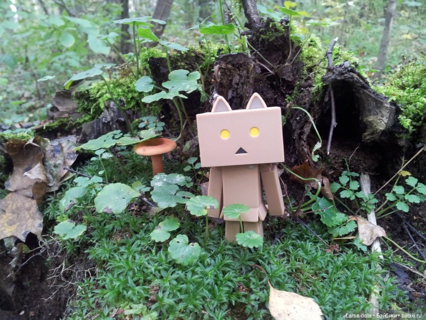 Ня-тян в осеннем лесу (мини-фото история)