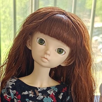 Новенькая в кукло-семействе