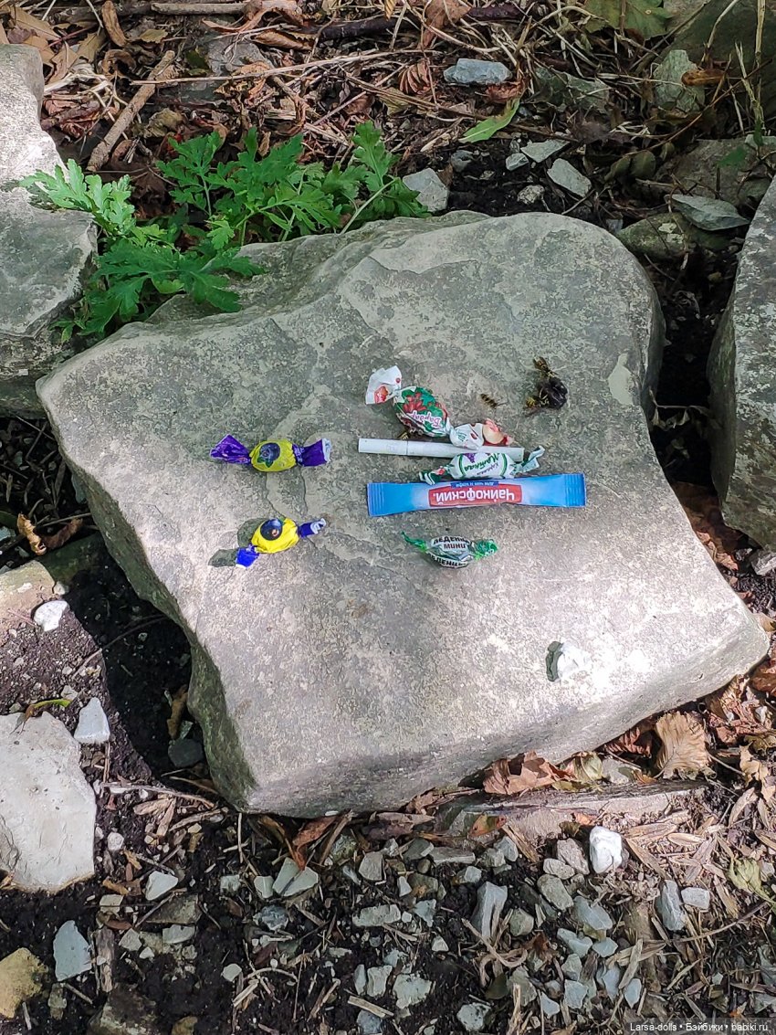 Геленджик-12