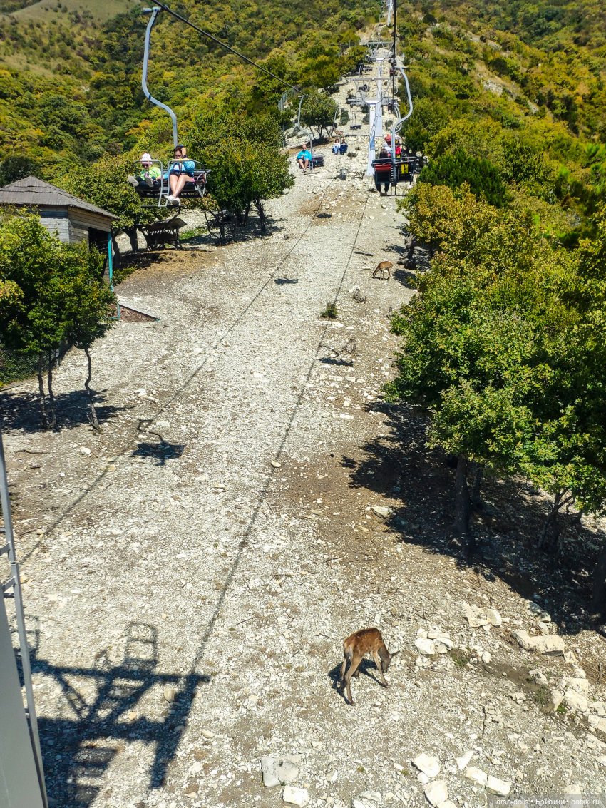 Геленджик-2