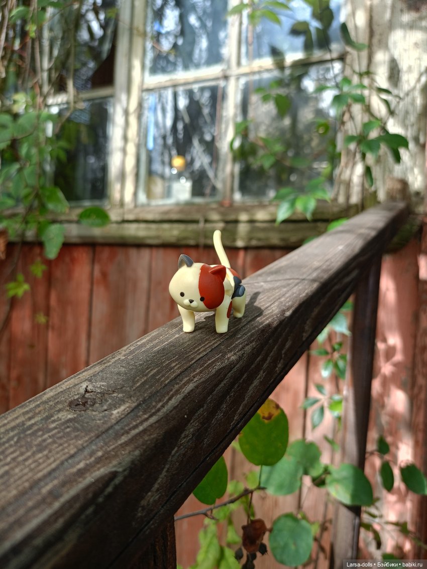 Мини-котик в поездке на дачу